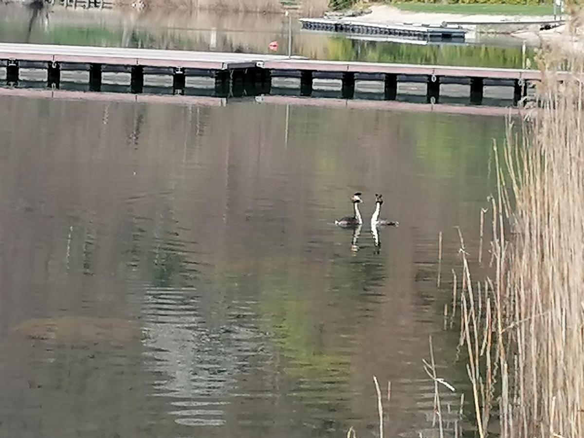 Ca' Dei Cigni Lägenhet Calceranica al Lago Exteriör bild