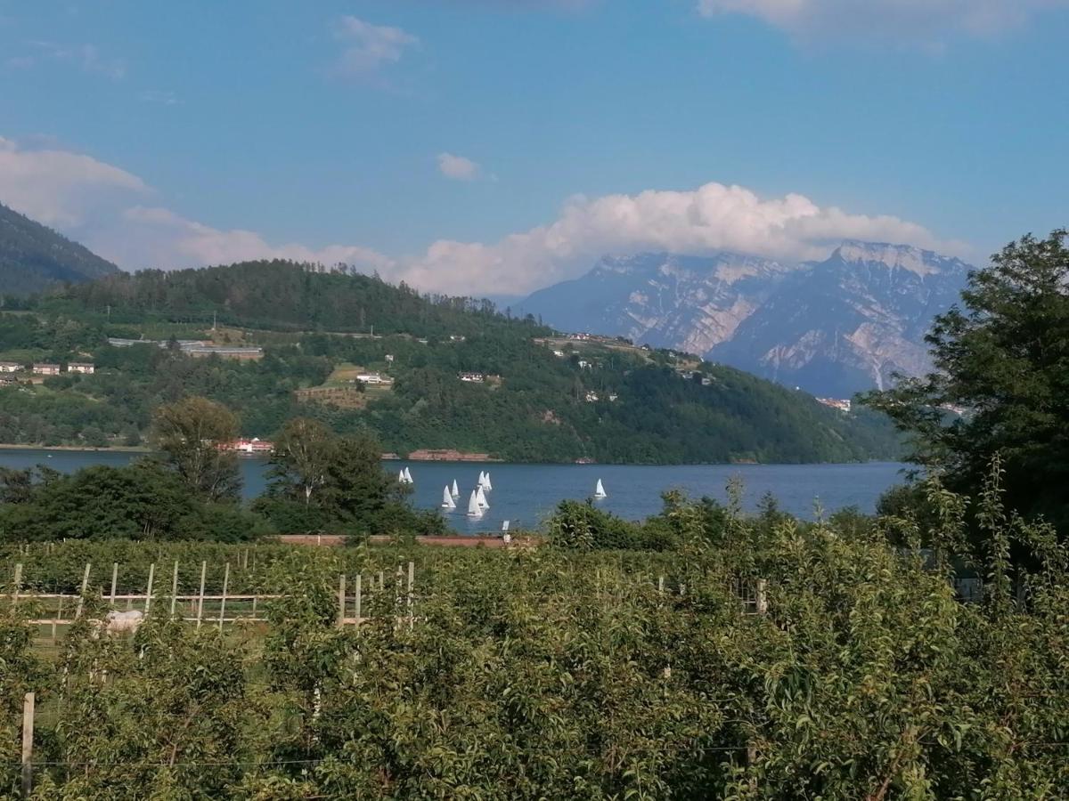 Ca' Dei Cigni Lägenhet Calceranica al Lago Exteriör bild